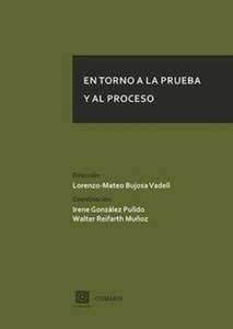 En torno a la prueba y el proceso