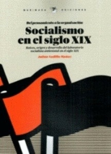 Socialismo en el siglo XIX (Del pensamiento a la organización)
