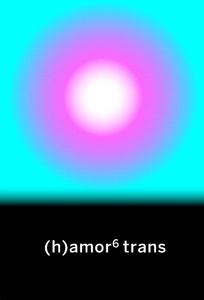 (h)amor 6 trans