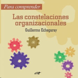 Para comprender las constelaciones organizacionales