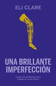 Una brillante imperfección