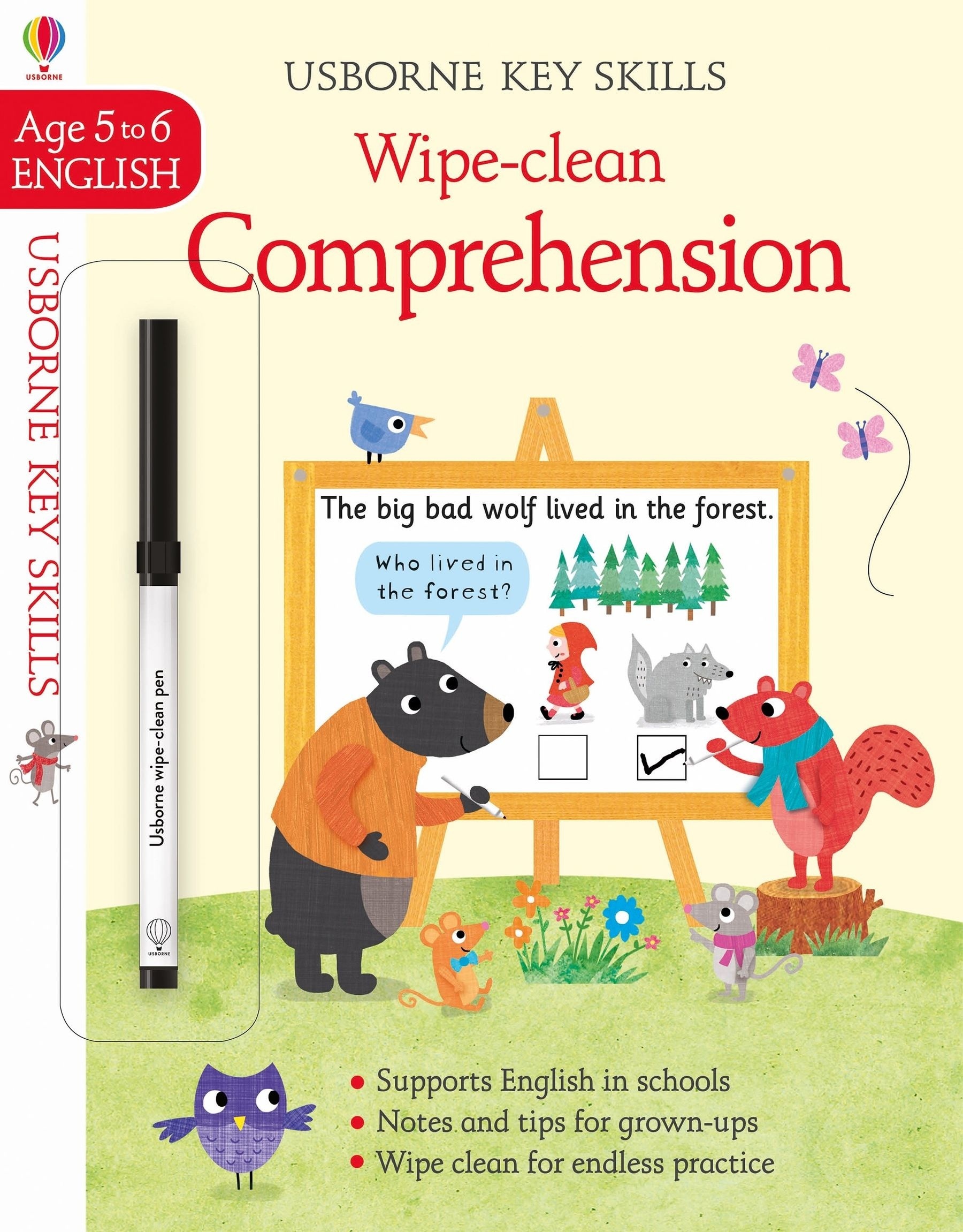 Wipe-Clean Comprehension 5-6