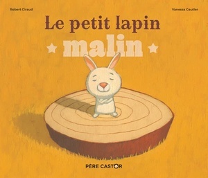 Le petit lapin malin (histoires du Père Castor)