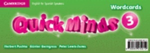 Quick Minds Level 3 Wordcards
