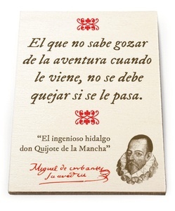 IMÁN grande Cervantes- El que no sabe gozar de la aventura...