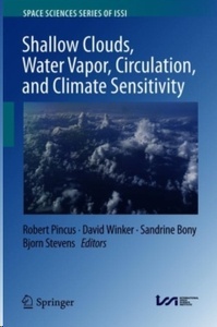 Shallow Clouds, Water Vapor, Circulation, and Climate Sensitivity