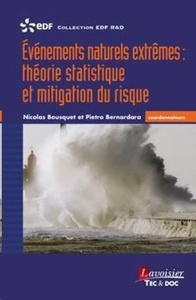 Evénements naturels extrêmes : théorie statistique et mitigation du risque