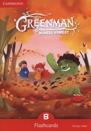 Greenman and the Magic Forest B Flashcards (Pack of 48)