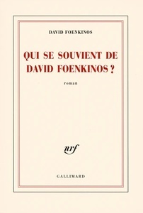 Qui se souvient de David Foenkinos?