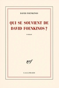 Qui se souvient de David Foenkinos?