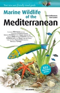 Marine Wildlife of the Mediterranean