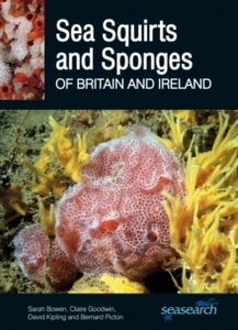 Sea Squirts and Sea Sponges of Britain and Ireland
