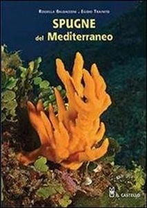 Spugne del Mediterraneo: Guida al Riconoscimento