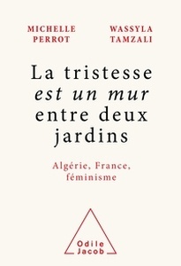 La trsitesse est un mur entre deux jardins