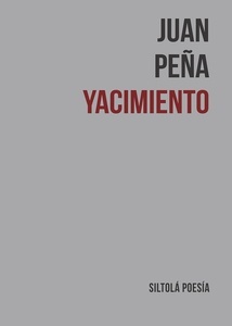 Yacimiento