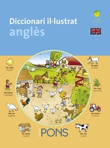 Diccionari il lustrat anglès