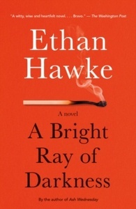 A Bright Ray of Darkness: A novel