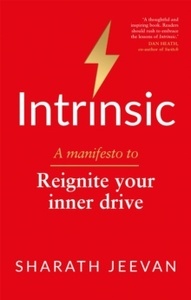 Intrinsic: A manifesto to reignite your inner drive