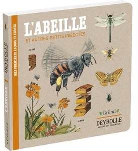 L'abeille et autres petits insectes