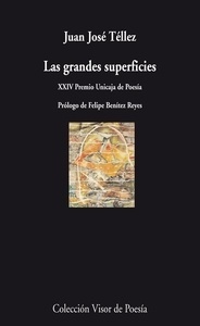 Las grandes superficies