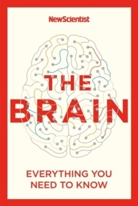 The Brain