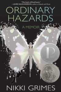 Ordinary Hazards : A Memoir