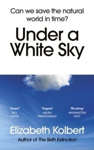 Under a White Sky