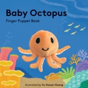 Baby Octopus