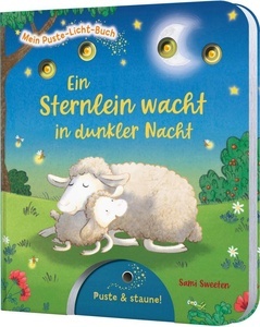 Mein Puste-Licht-Buch: Ein Sternlein wacht in dunkler Nacht.