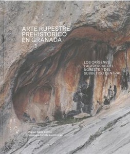 Arte rupestre prehistórico en Granada 1