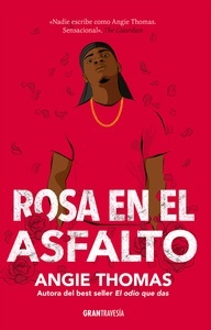 Rosa en el asfalto