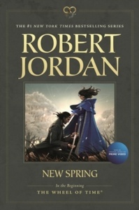 New Spring : Prequel to The Wheel of Time : 15