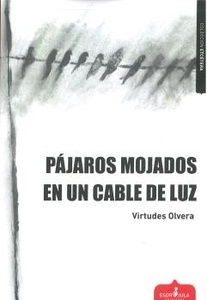 Pájaros mojados en un cable de luz