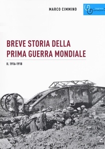 Breve storia della prima guerra mondiale. Vol. 2: 1916-1918