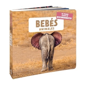 Bebés animales