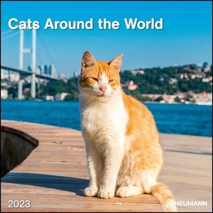 Calendario 2023 Cats Around The World 30x30