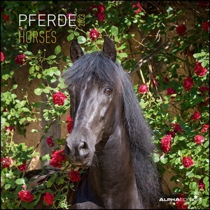 Calendario 2023 Horses 30x30