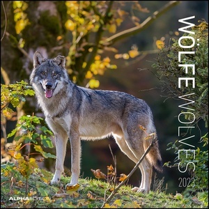 Calendario 2023 Wolves 30x30