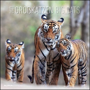 Calendario 2023 Big Cats 30x30