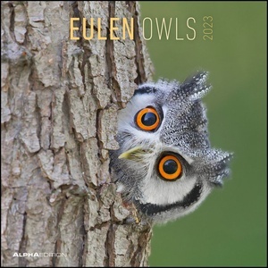 Calendario 2023 Owls 30x30