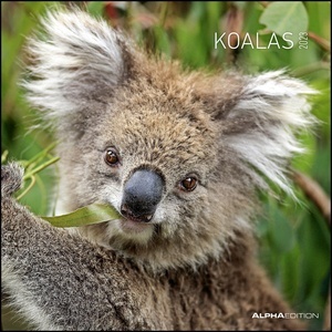 Calendario 2023 Koalas New 30x30