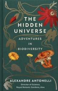The Hidden Universe