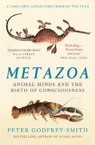 Metazoa