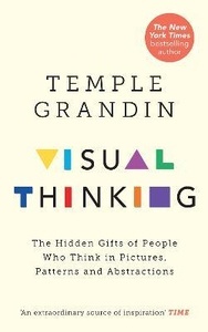 Visual Thinking