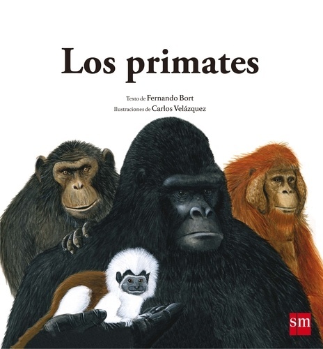 Los primates