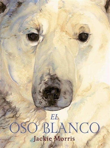 El oso blanco