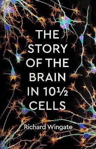 The Story of the Brain in 10 1/2 Cells