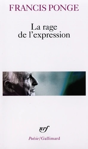 La rage de l'expression- BAC 2024