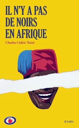 Il n'y a pas de Noirs en Afrique - Comment je sens le monde