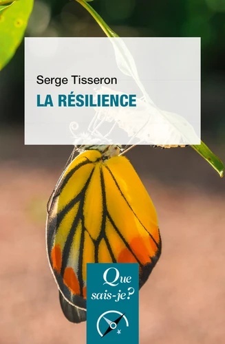 La résilience